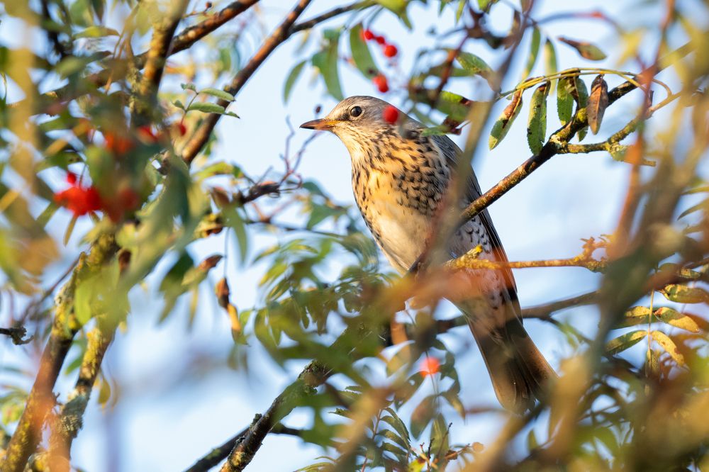 Фотография автора Лейла Матар