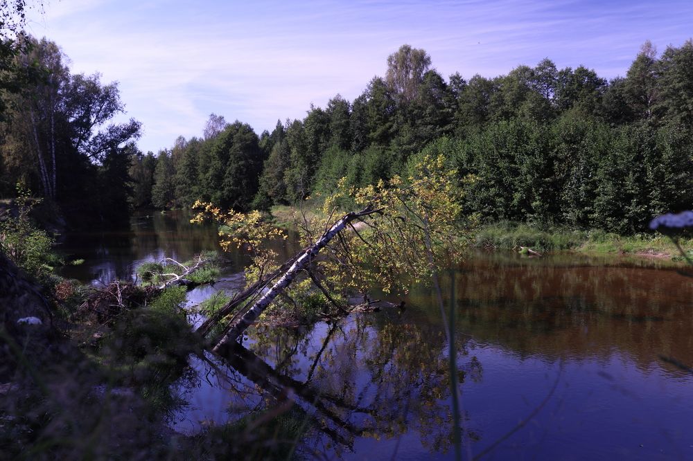 Упало, но не сдалось