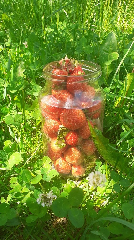 Фотография автора Елена Лещева