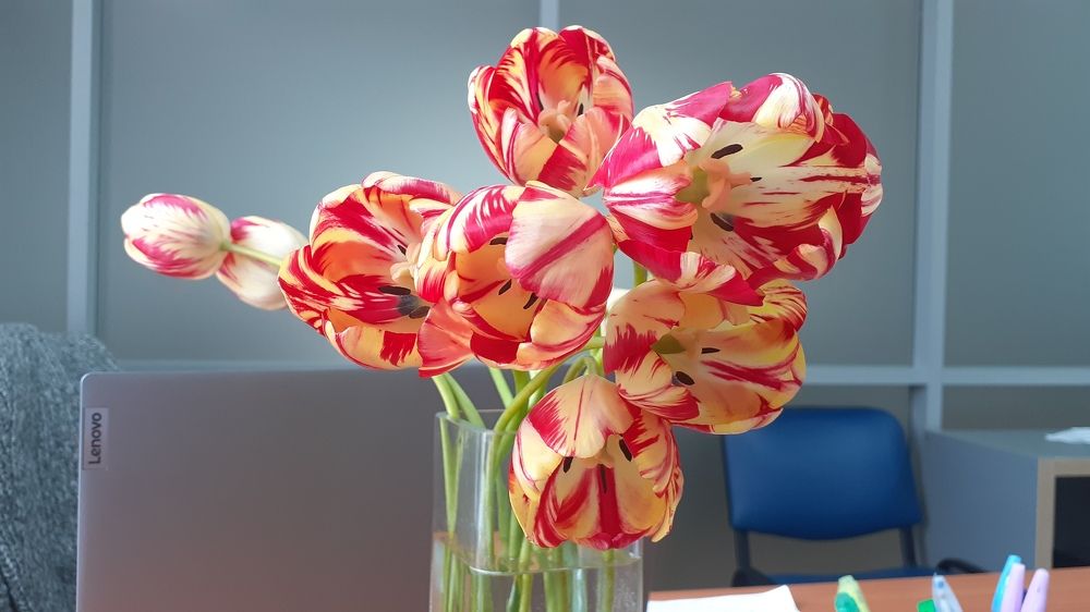 Фотография автора Елена Лещева