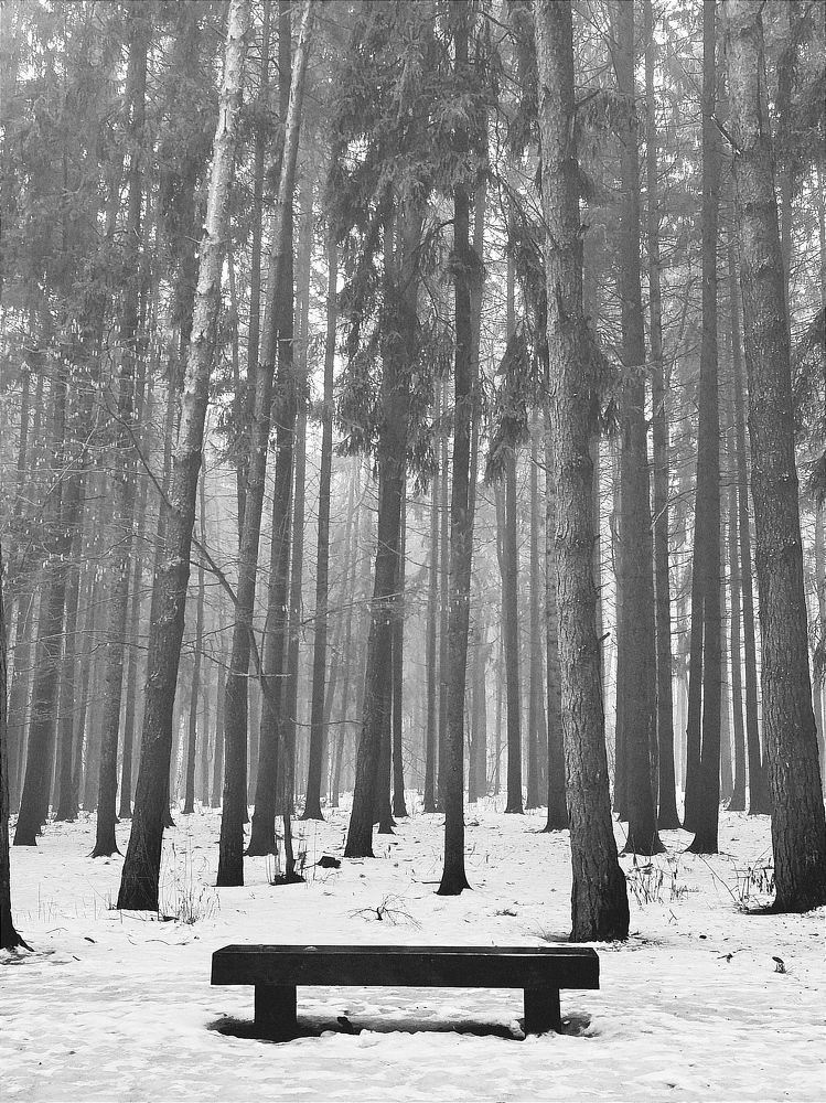 Фотография автора Светлана Таркан