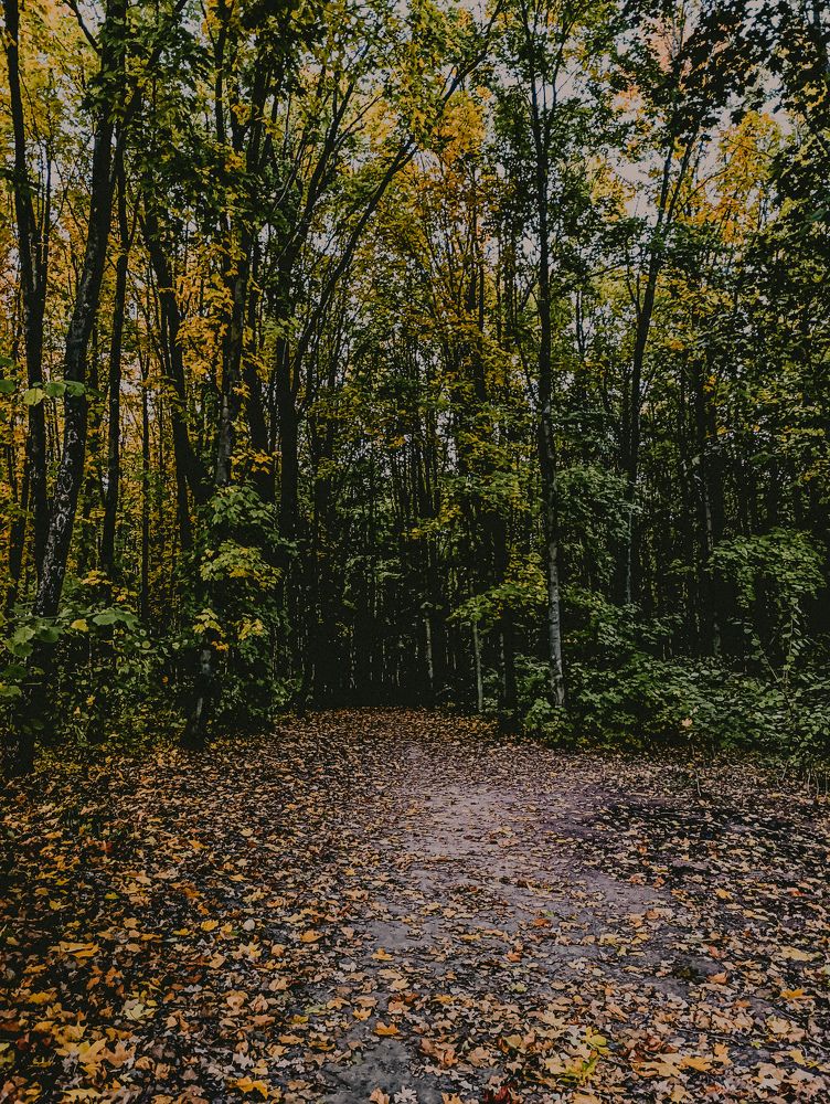 Фотография автора Светлана Таркан