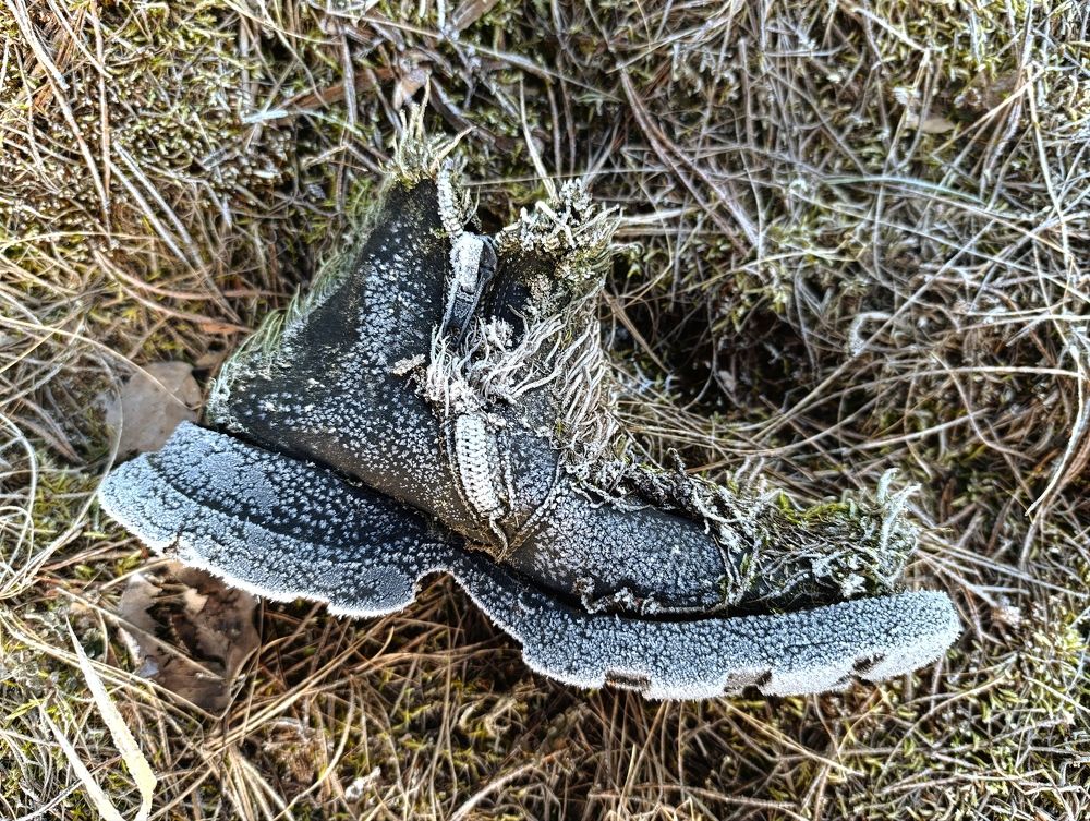 Фотография автора Светлана Таркан