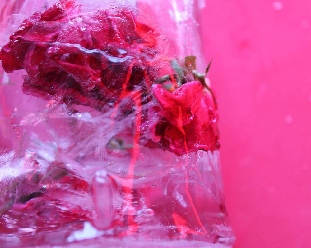 Photograph by Екатерина Пачина