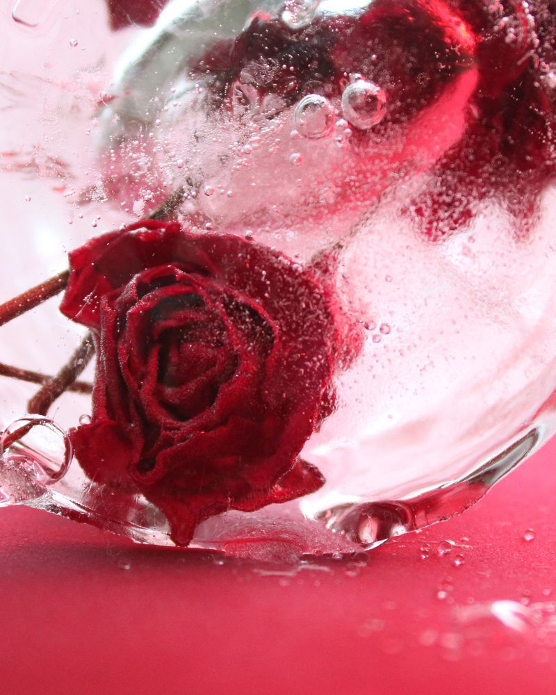 Photograph by Екатерина Пачина