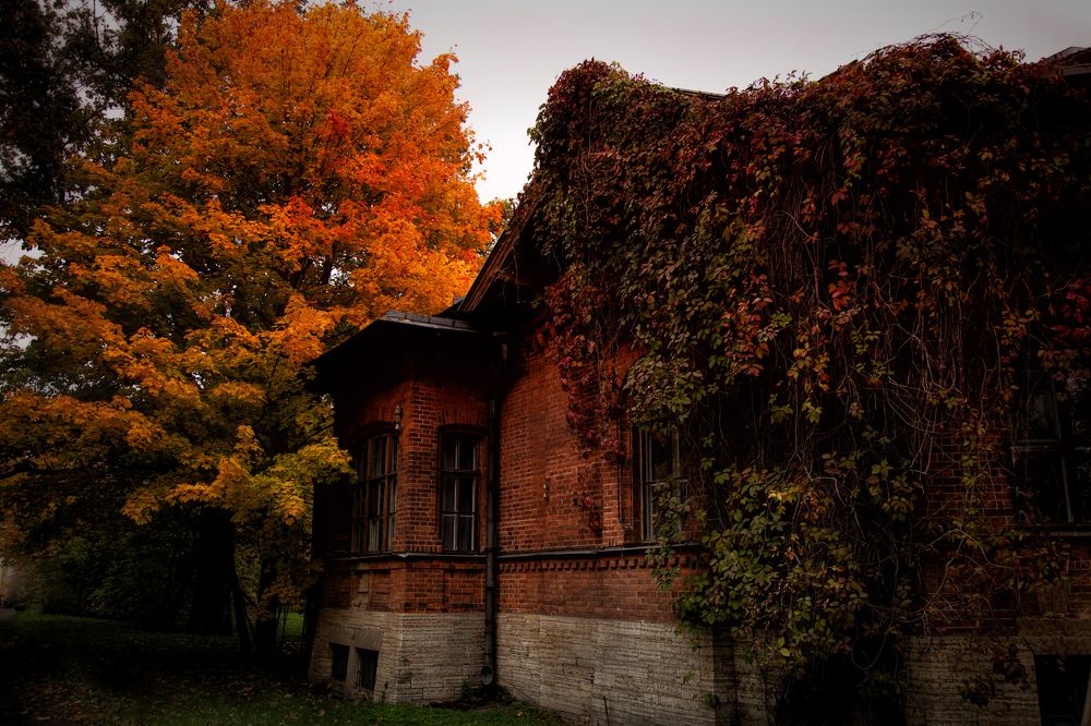 Photograph by Ирина Гентош