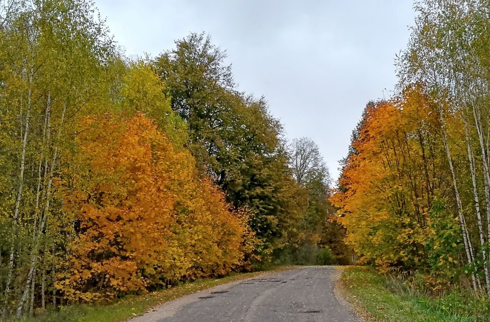 Photograph by Михаил Попов