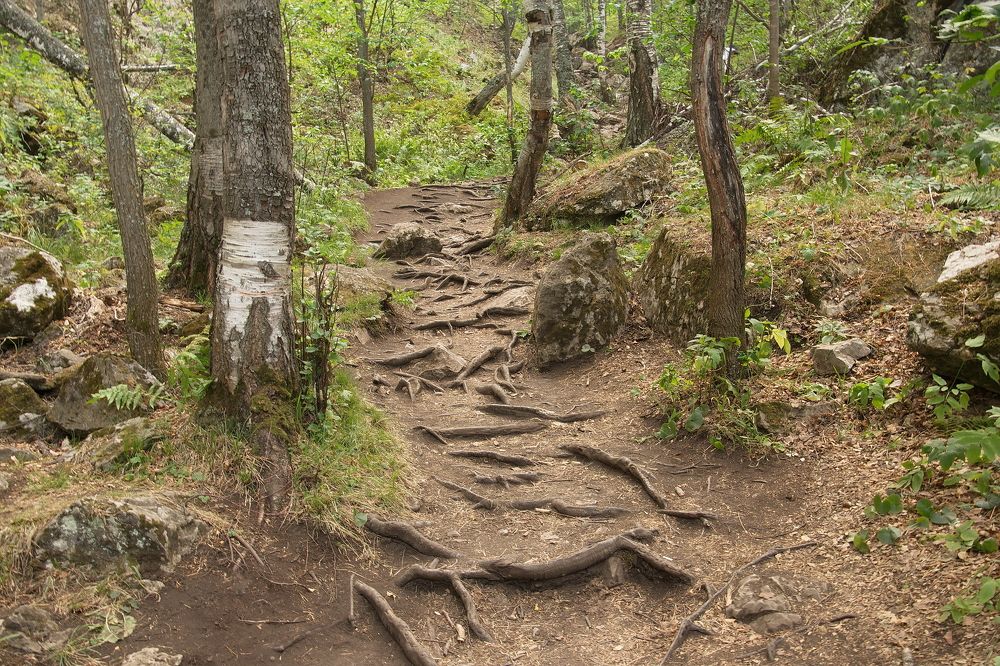 Тропа в Мурадымовском ущелье.
