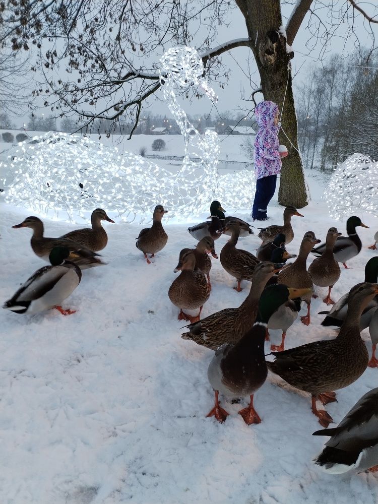 Фотография автора Юлия Ю.