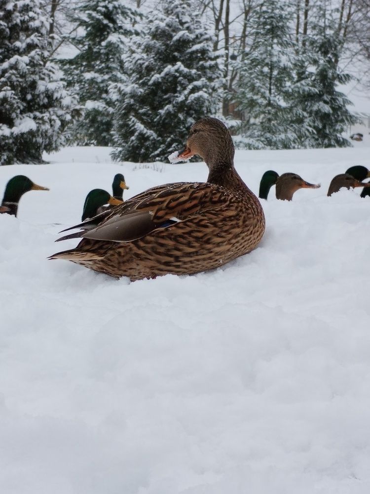 Фотография автора Юлия Ю.