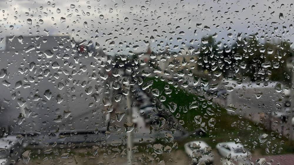 Фотография автора Елена Лещева