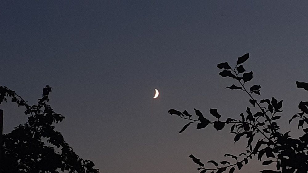 Фотография автора Елена Лещева