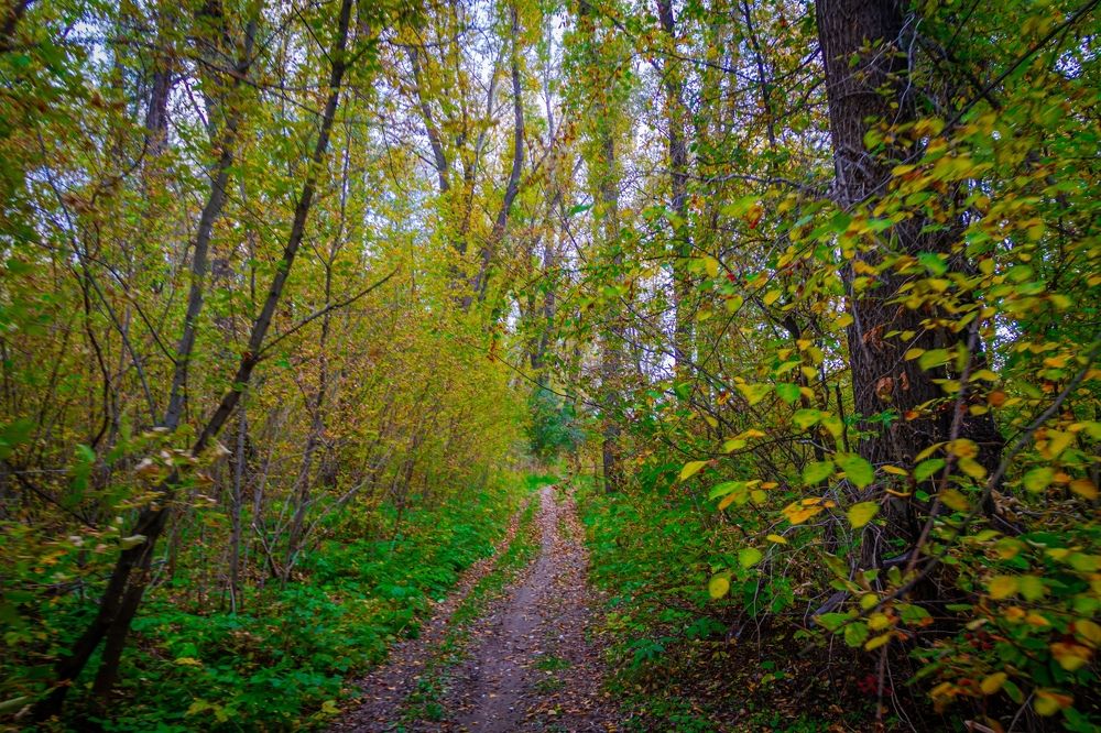 Фотография автора Иван Карпов