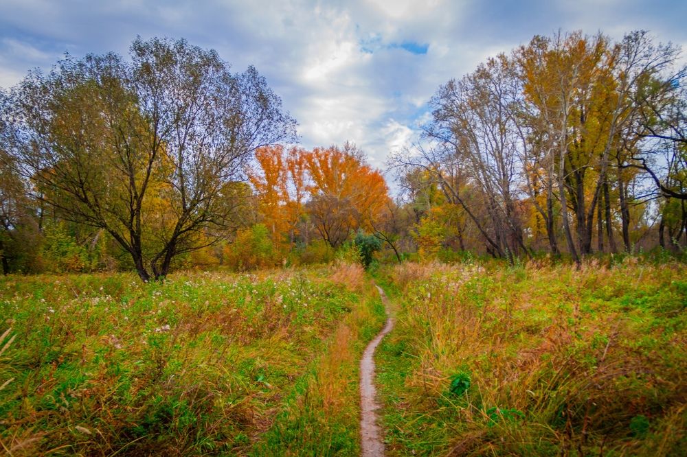 Фотография автора Иван Карпов