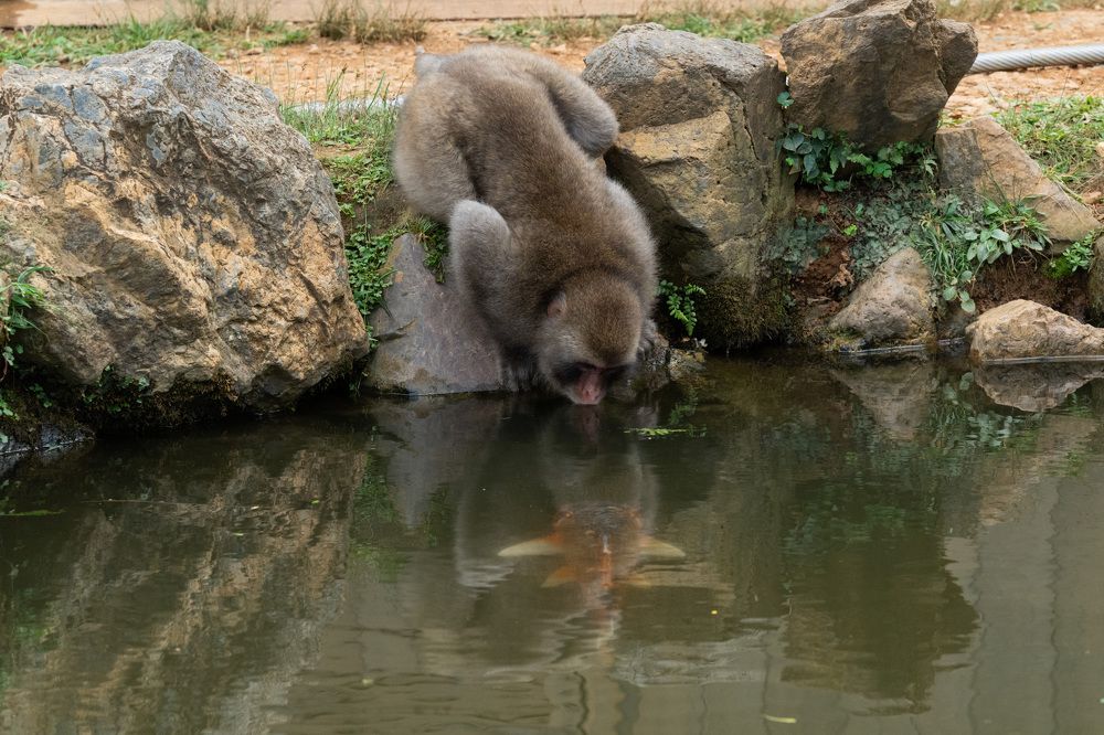 Фотография автора Лейла Матар