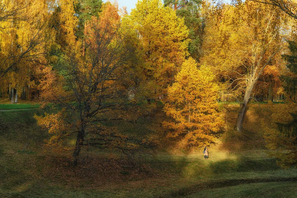 Фотография автора Yulia