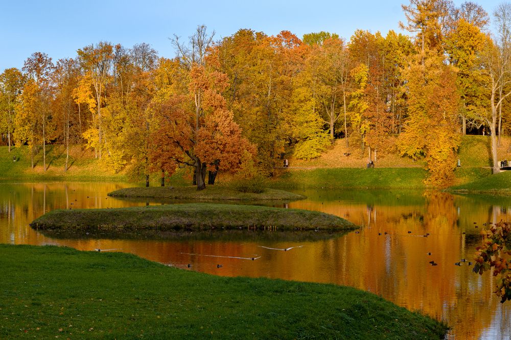 Фотография автора Yulia