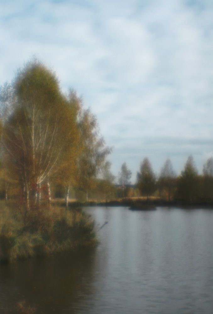 Фотография автора Елена Ломова