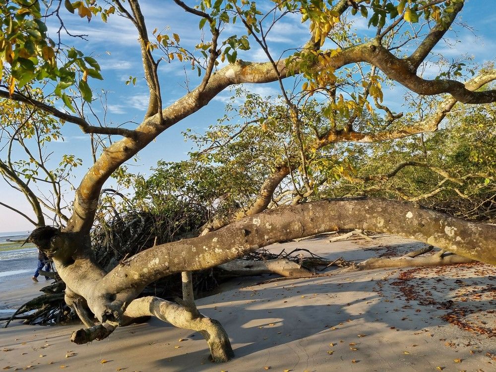 Photograph by Florence Rozario