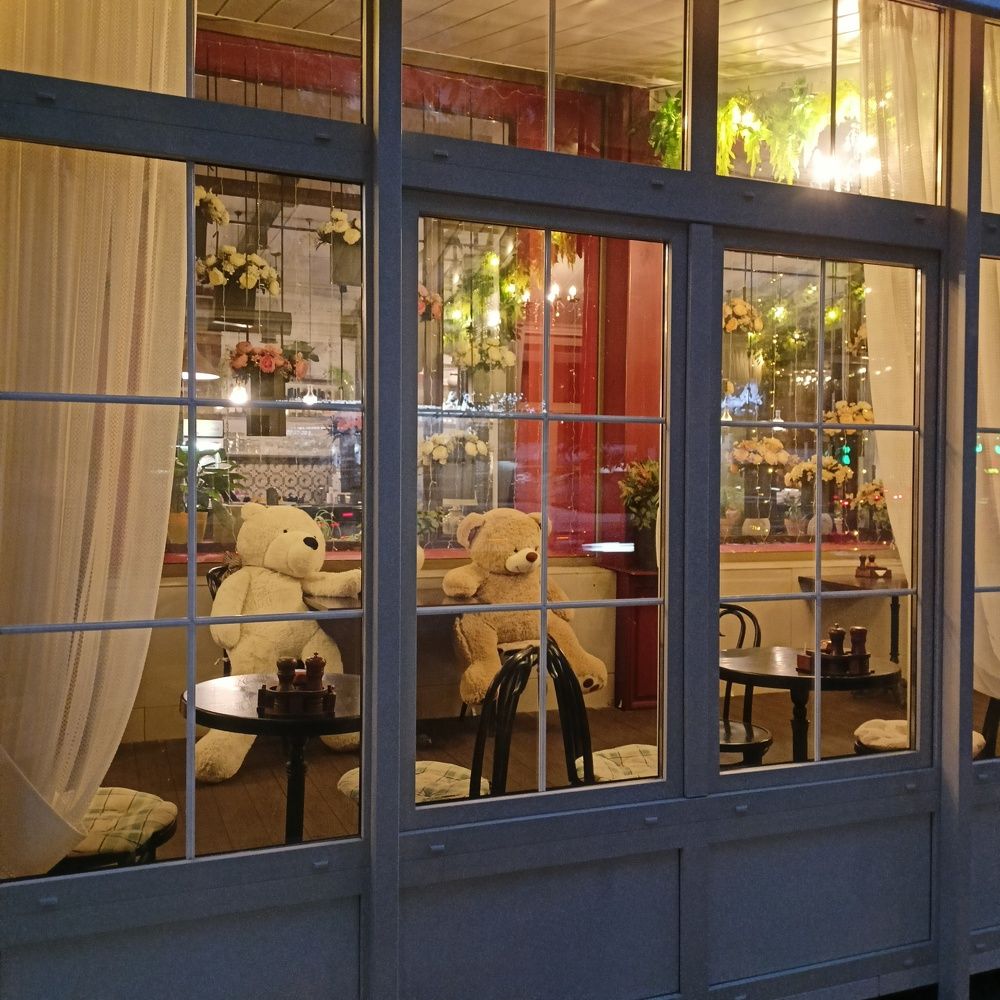 Фотография автора Анастасия Горбачева