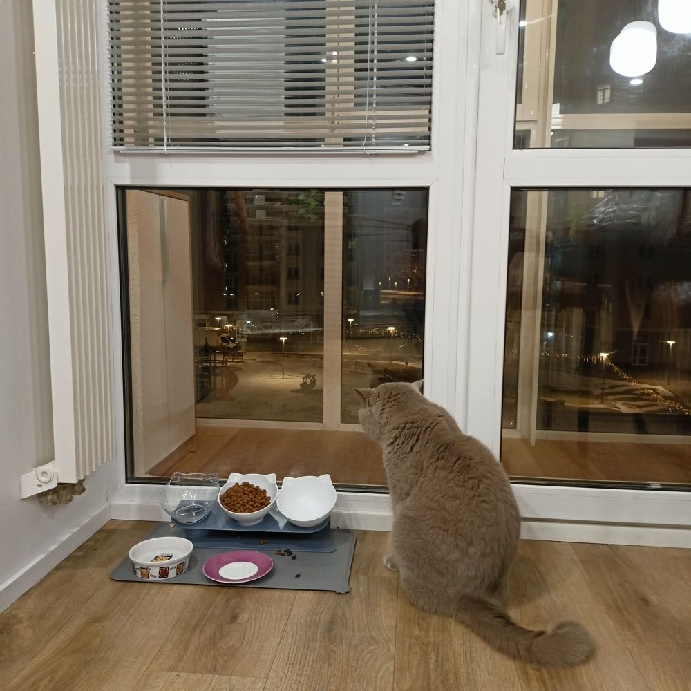 Фотография автора Анастасия Горбачева