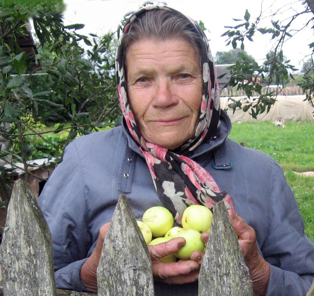 Фотография автора Алла Бойко