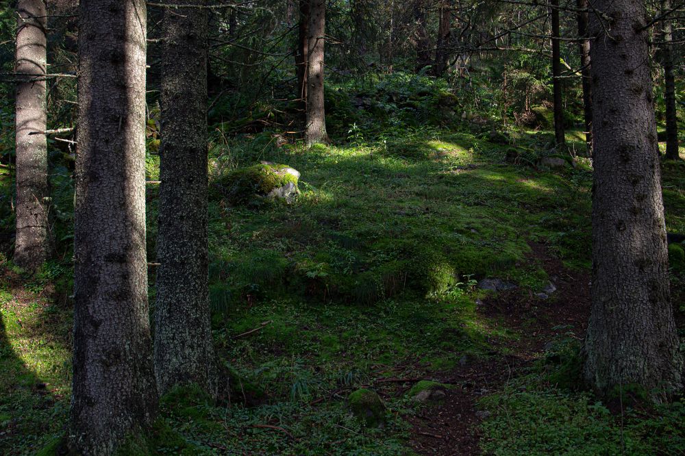 Фотография автора Екатерина Першина