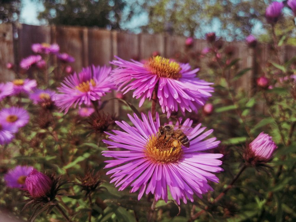Фотография автора Серафима Футлярова
