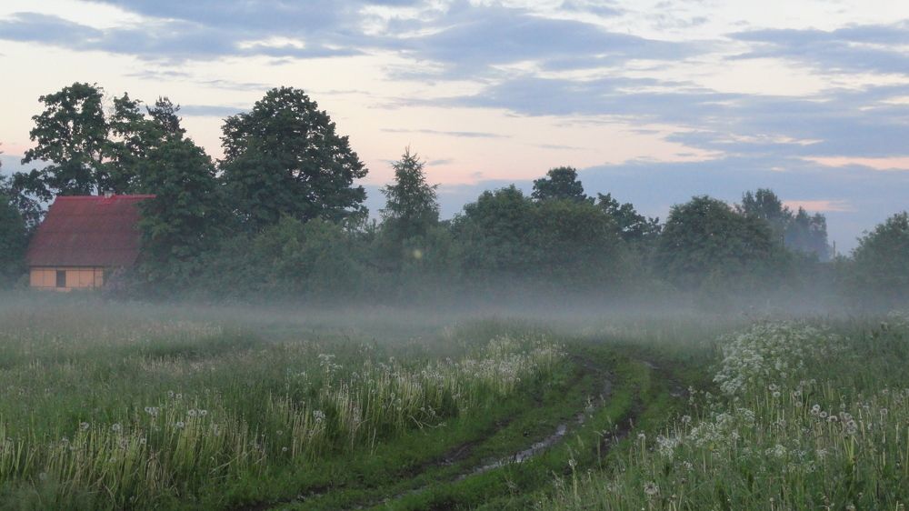 Фотография автора Алла Бойко