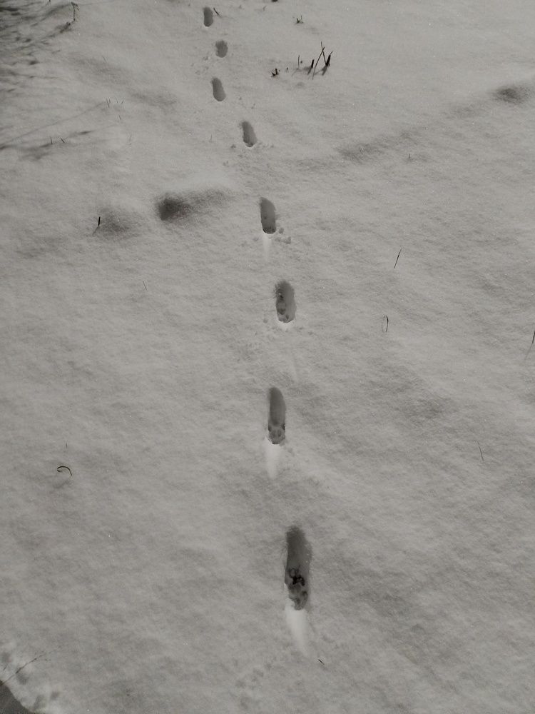 Фотография автора Юлия Ю.