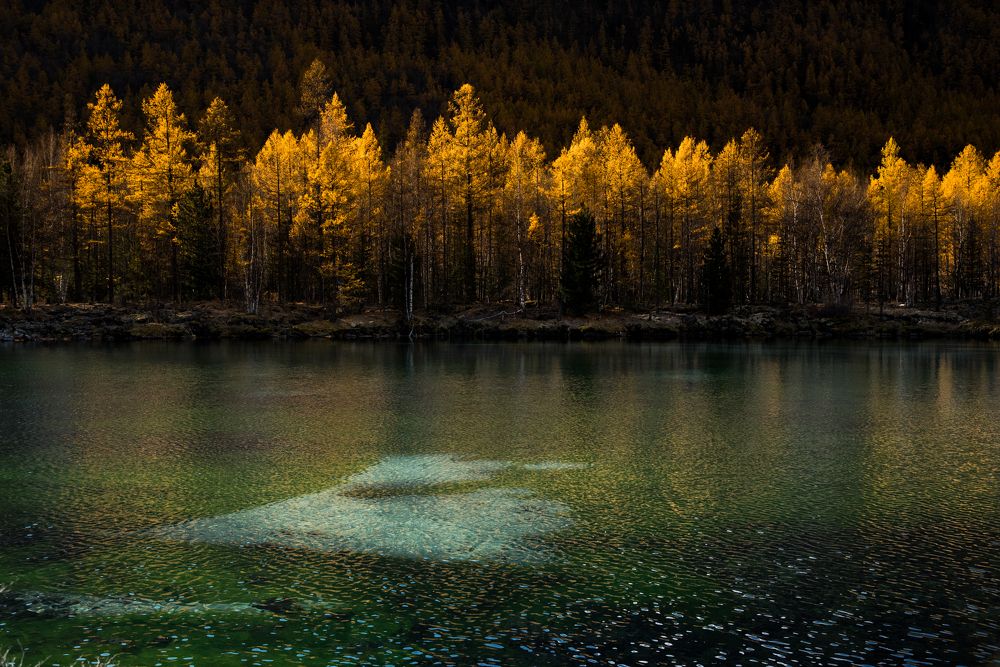 Фотография автора Марина Корреа Ластра