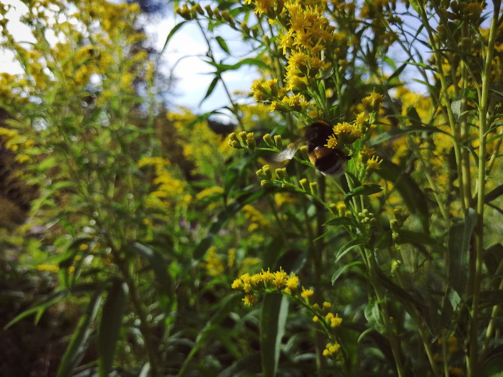 Фотография автора Серафима Футлярова