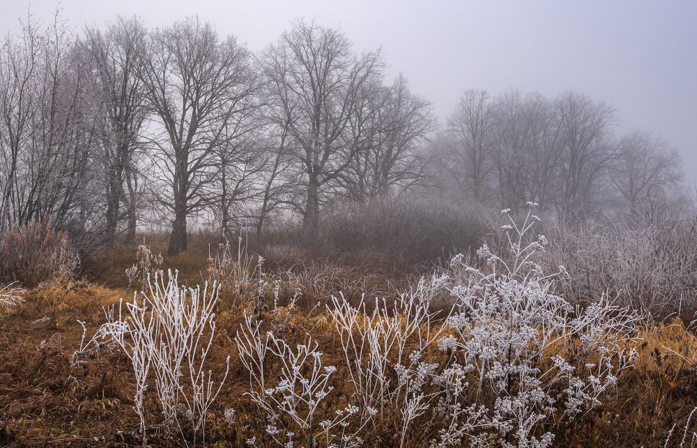 Photograph by Илфир Исламгазин