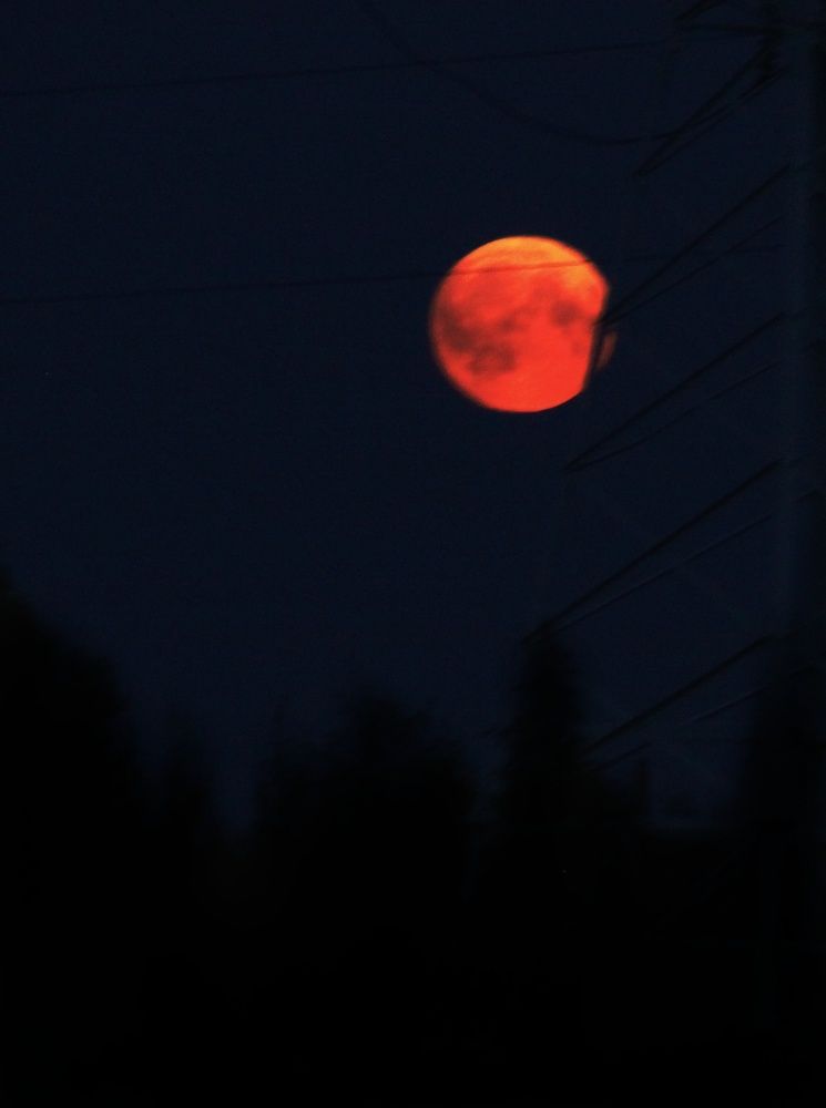 Фотография автора Сергей Яковлев
