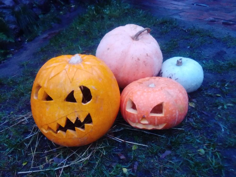 Фотография автора Irina Mihailovskaya