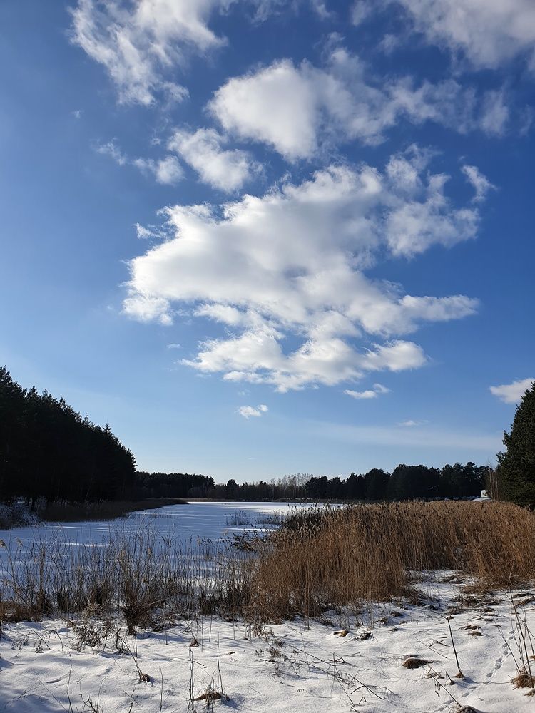 Photograph by Ирина