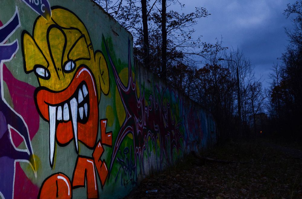 Фотография автора Вадим Писарев