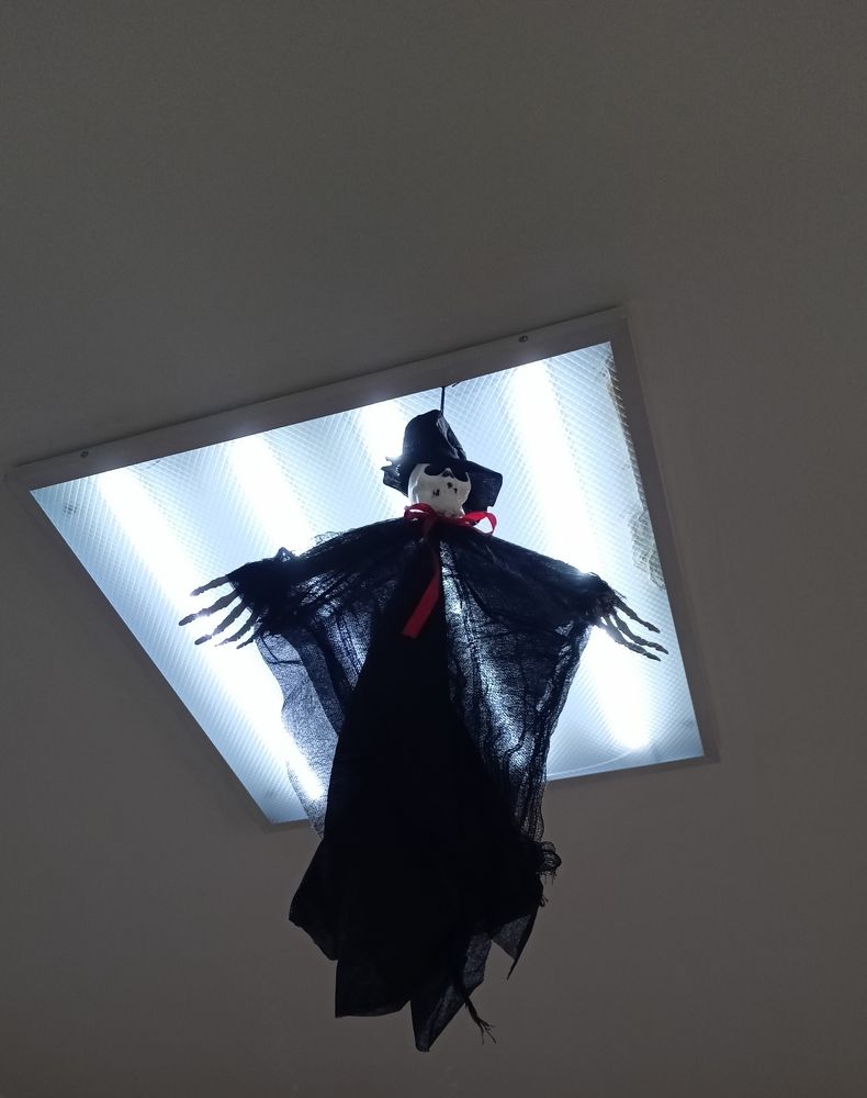 Фотография автора Анастасия Горбачева