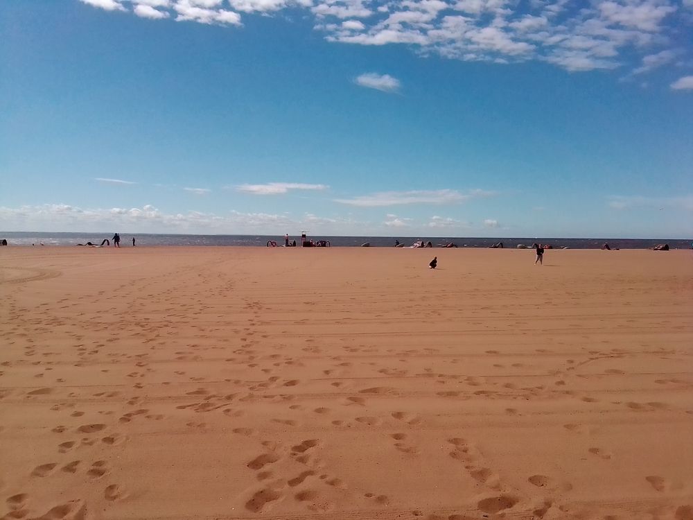 Фотография автора Irina Mihailovskaya