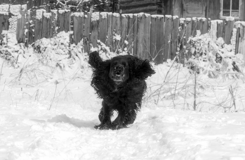 Photograph by Veronika Shuster