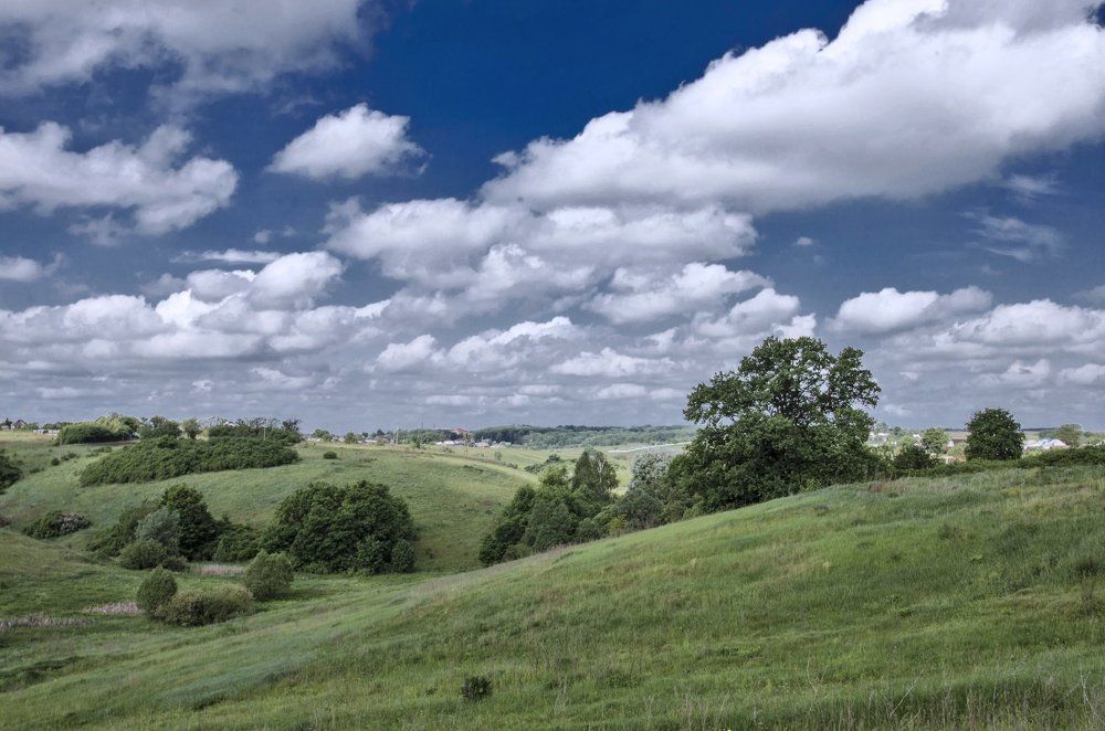 Холмы Белогорья. Ольховка