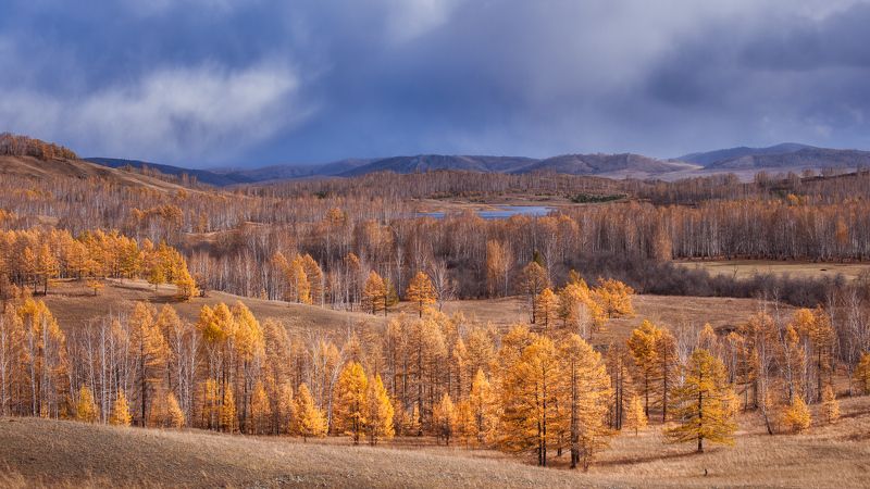 Kochergin Dmitriy, Russia