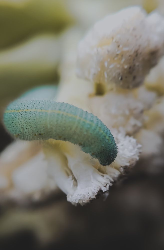 Photograph by Юлия Якубова