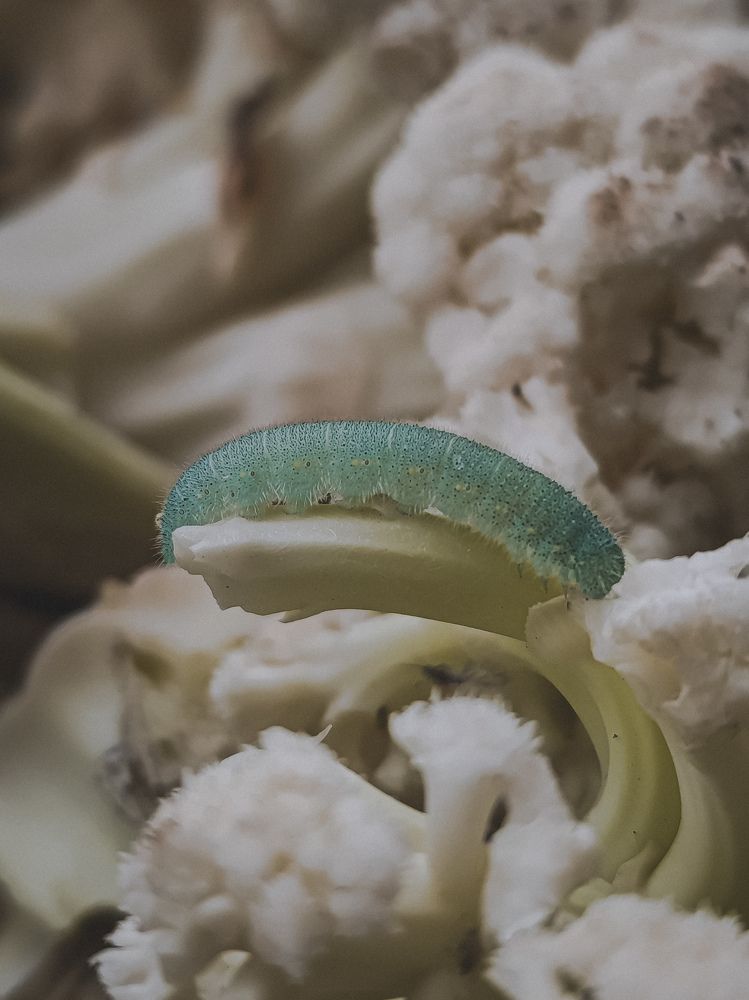 Photograph by Юлия Якубова