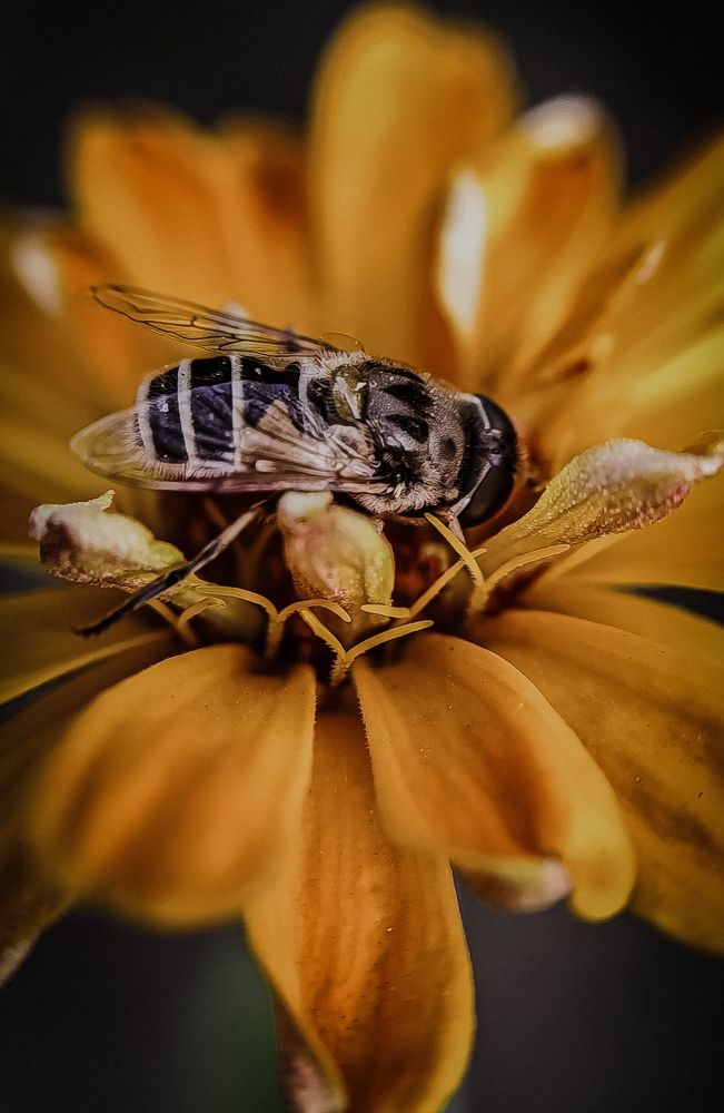 Photograph by Юлия Якубова