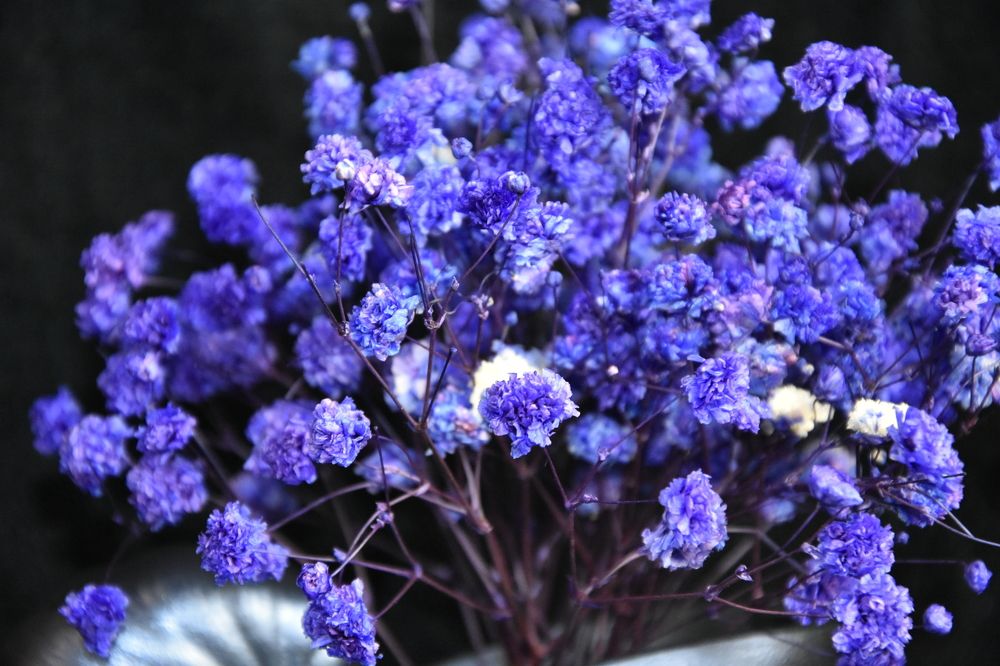 Фотография автора Юлия Ю.