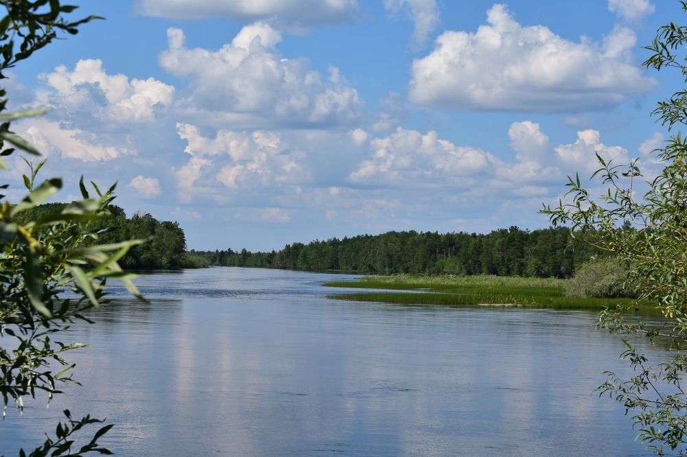 Фотография автора Светлана Чехлань