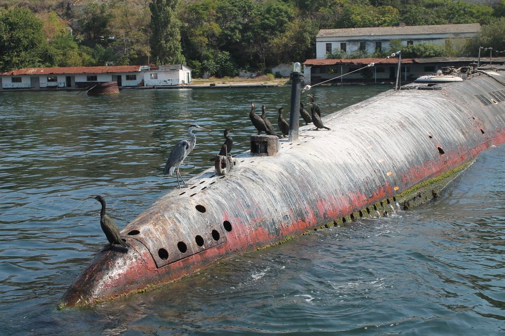 Фотография автора Алла Бойко