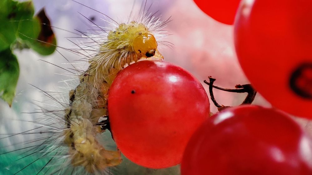 Фотография автора Марина Артемьева