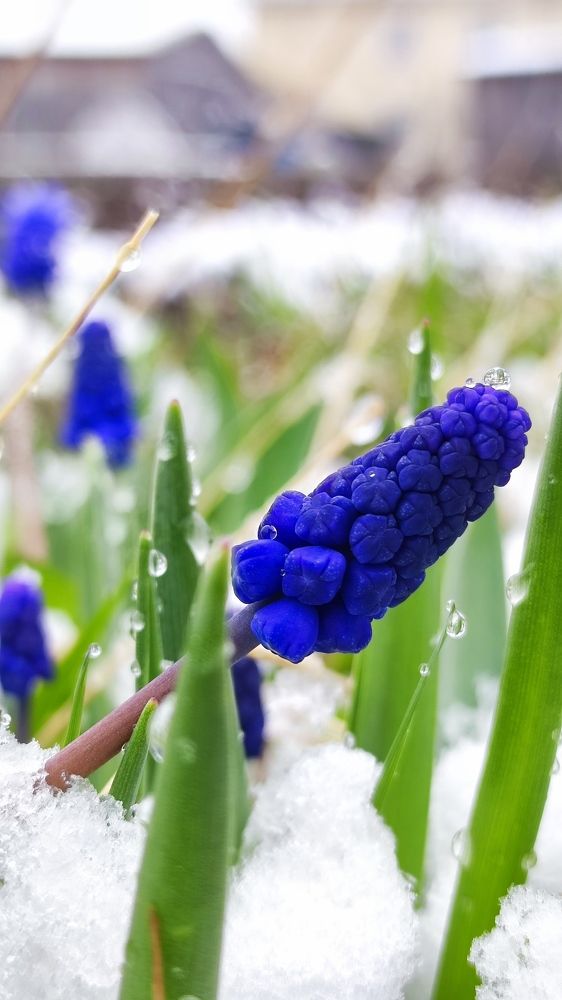 Фотография автора Марина Артемьева